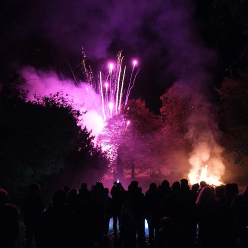 NPS Bonfire & Fireworks Night